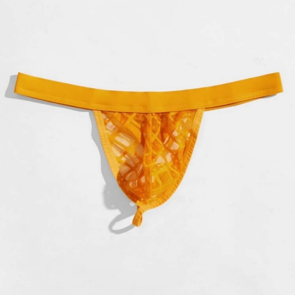 🦩Men's Sheer Plaid brief thong  XL